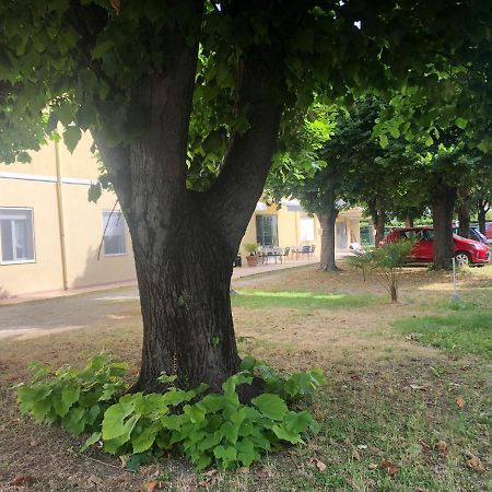 Hotel Argo Rimini Eksteriør bilde